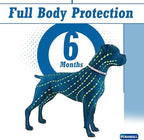 Flea Collar for Dogs, 2 Pack Collar for Dogs, 12 Months Protection, Waterproof, Adjustable One Size Fits All, Grey