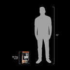 Go! Solutions Digestion + Gut Health, Dry Cat Food, Salmon Recipe with Ancient Grains, 3 lb Bag