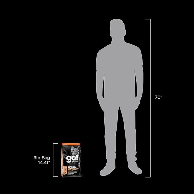 Go! Solutions Digestion + Gut Health, Dry Cat Food, Salmon Recipe with Ancient Grains, 3 lb Bag