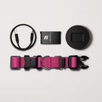 Fi Series 3+ Smart Dog Collar - GPS Dog Tracker and Activity & Fitness Monitor, Waterproof, LED Light, Escape Alerts, Nationwide Coverage [Free 6 Month Membership] (Pink, Extra Small)