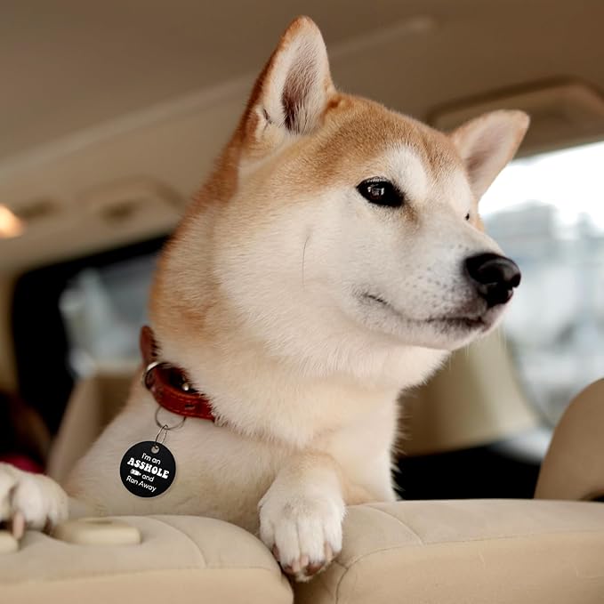 MYLUCKYTAG QR Code Stainless Steel Personalized Dog ID Tag, Engraved Dog Collar Tag for Online Pet Profile and Location Alerts