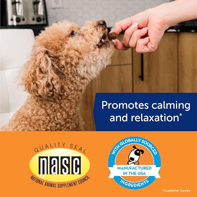 ThunderWunders Dog Calming Chews | Thiamine, L-Tryptophan, Melatonin and Ginger | Can Help Relieve Stress from Separation, Storms, Fireworks & Travel (60 Count)