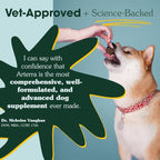 Arterra Longevity Multivitamin for Dogs – 50% Active Ingredients – Vet-Formulated Daily Soft Chews for Gut, Brain, Joint & Immune Health – Human-Grade Supplement | 120 Count