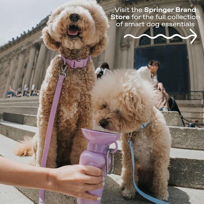 Springer Dog Water Bottle | Portable Travel Water Bottle Dispenser for Dogs | Dog Gift Seen on Oprah's Favorite Things, Shark Tank | Leak-Proof Bottles Fill Bowl with Water | BPA-Free 15oz Lilac