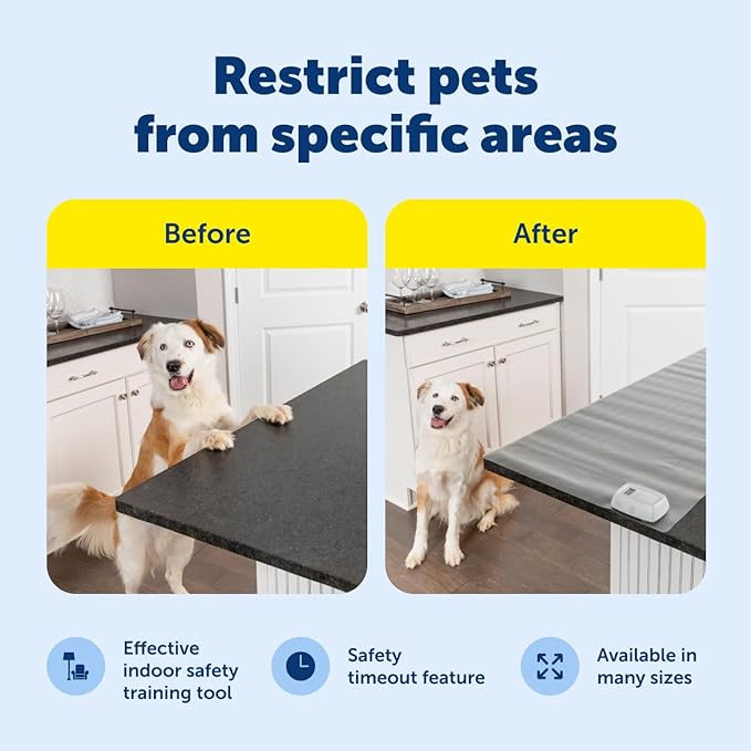 PetSafe ScatMat Indoor Training Mat