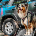 AUROTH Tactical Dog Harness for Small Medium Large Dogs No Pull Adjustable Pet Harness Reflective K9 Working Training Easy Control Pet Vest Military Service Dog Harnesses (XL, Purple Camo)