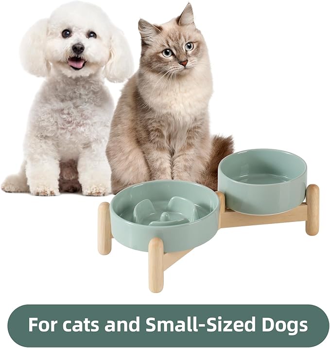 Ceramic Raised Slow Feeder Dog Bowl Set, Elevated 5.1inch Bowl and 6.1inch Puzzle Slow Pet Food Dish with Wooden Stand for Small Dog and Cat, Anti-Gulping (2X Light Green+ Stand)