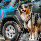 AUROTH Tactical Dog Harness for Small Medium Large Dogs No Pull Adjustable Pet Harness Reflective K9 Working Training Easy Control Pet Vest Military Service Dog Harnesses (S, Purple Camo)