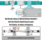 Personalized Safety Elastic Cat Collars with Bell Soft Silicone Cover for Air Tag,Laser Customized Stretch Kitten Collars for Girls Boys Cats (Cyan)