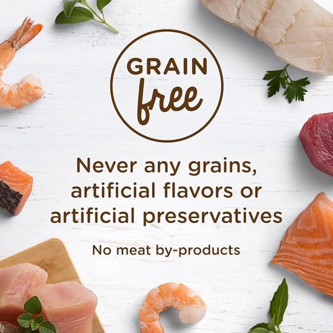 Rachael Ray Nutrish Premium Wet Cat Food, Chicken Lovers Variety Pack, Grain Free, 2.8 Oz. Tub, Pack Of 12