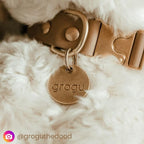 Solid Brass PET TAG - Modern, Minimal Pet IDs. Durable, Lifetime Tags with deep Cut Text. Includes Space for Two Phone Numbers. (Heart)