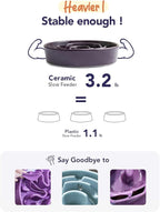 LE TAUCI Ceramic Slow Feed Dog Bowls, Elevated for Small and Medium Breed Dogs, Anti-Gulping Pet Feeding Dishes, Maze Purple, 1.5 Cups