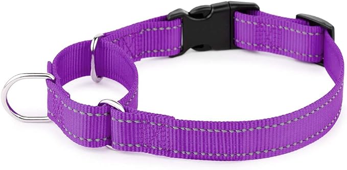 PLUTUS PET Reflective Martingale Collar with Quick Snap Buckle,No Pull Dog Choker Collar for Small Medium Large Dogs,L,Purple
