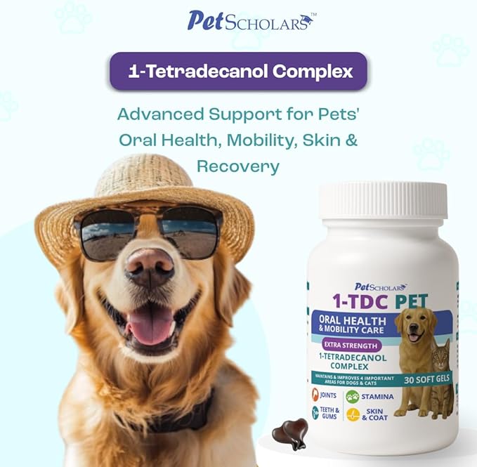 1TDC Dental & Joint Health Softgel Supplement for Dogs & Cats, Supports Oral Health, Stamina, Mobility, Muscle Strength & Recovery, Maintains Skin & Coat Health of Pets (120 Soft Gels)