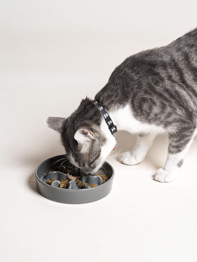 Ceramic Slow Feeder Dog Bowls Small Breed, 0.5 Cups Dog Food Dish for Fast Eaters, Puzzle Bowl for Small Dogs and Cats, 5.5 Inch-Grey