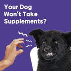 NeLM Supplements & Vitamins for Dogs - Mouth Dissolving Strips - Multivitamin, Eye, Hip & Joints, Gut, Dental Support - Pet Health Supplies - 30 Stips(Pack of 1) (30 Strips (Pack of 1), Eye Support)