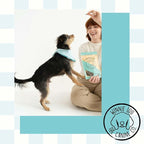 Winnie Lou Bison Burger Jerky Dog Treats – Limited Ingredient, Human Grade, Training Treats for Small, Medium & Large Dogs, Made in USA (2 Pack)