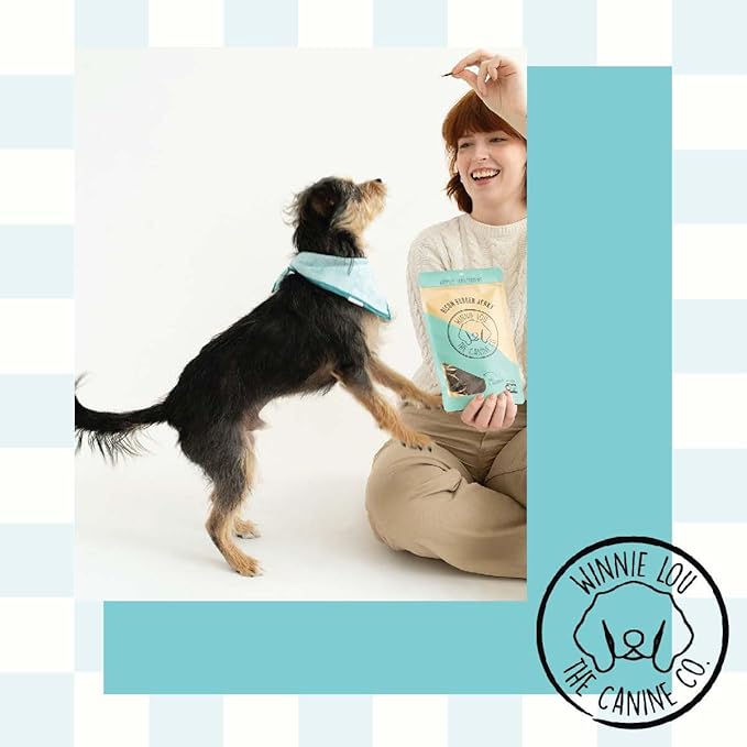 Winnie Lou Bison Burger Jerky Dog Treats – Limited Ingredient, Human Grade, Training Treats for Small, Medium & Large Dogs, Made in USA (1 Pack)