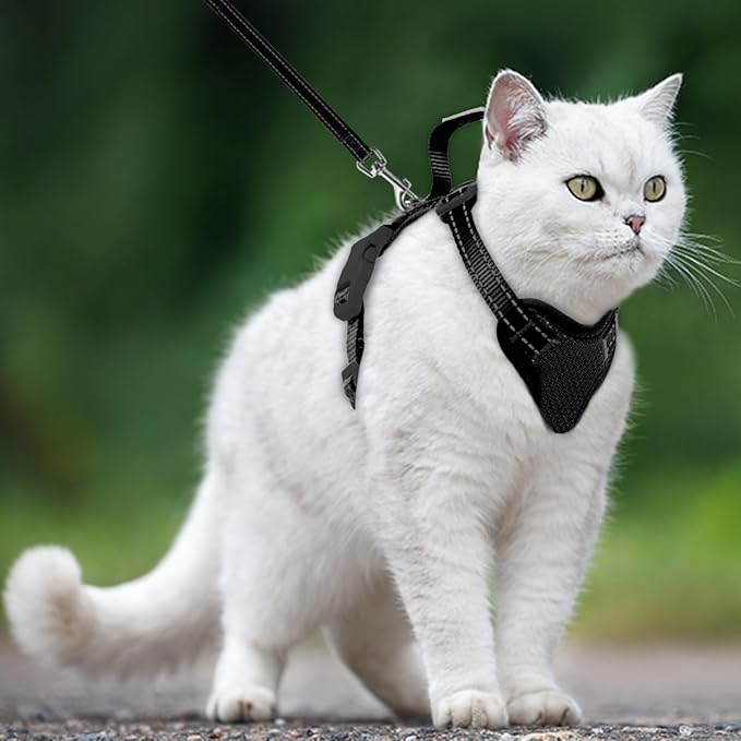 Cat Harness and Leash Set Escape Proof for Kitten Walking, Soft Adjustable Top Handle Vest Harnesses for Cats, Easy Control Breathable Reflective Small Medium Large, Black, XXS