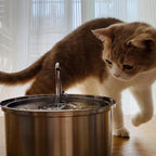The KittySpout Stainless Steel Wireless Cat Water Fountain, 4L/108oz