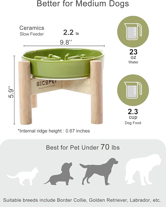 Ceramic Maze Dog Slow Feeder with Non-Slip Silicone Rim (& Bamboo Stand) – Heavy-Duty Stoneware Bowl with Puzzle Pattern for Bloating & Obesity Prevention (Raised-Green-M)