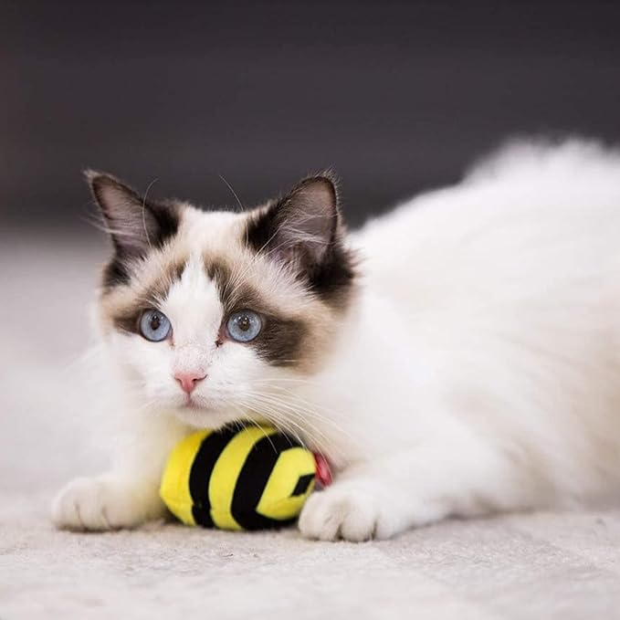 Gigwi Interactive Squeaking Cat Toy，Chirpy Bee Sound Toy for Cats，Melody Chaser Play Squeak Kitten Toys for Boredom