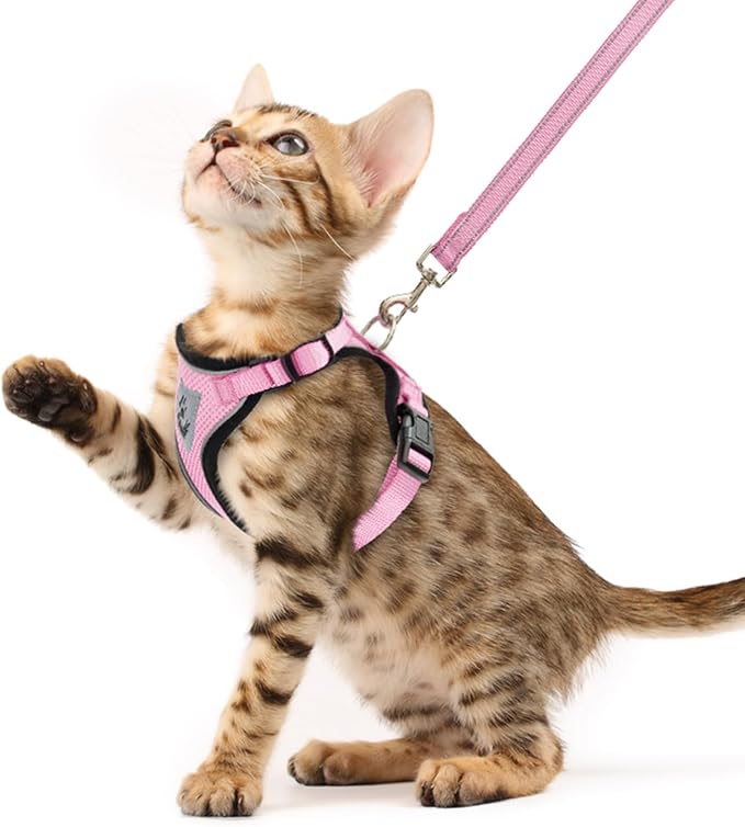 PUPTECK Cat Harness and Leash Set Escape Proof Reflective Cat Walking Harness Adjustable Soft Breathable Mesh Vest for Small Pets, Light Pink, XS