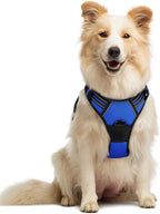 rabbitgoo Dog Harness No Pull with 2 Leash Clips, Adjustable Soft Padded, Reflective Oxford No Choke Pet Vest with Easy Control Handle for Medium Sized Dogs, Dazzling Blue, M
