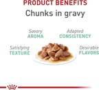 Royal Canin Digestive Care Chunks in Gravy Adult Wet Cat Food, Pouches 3 Oz(Pack of 12), Chicken flavor