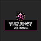 Pro Plan Veterinary Diets Purina UR Urinary St/Ox Feline Formula Dry Cat Food - 16 lb. Bag