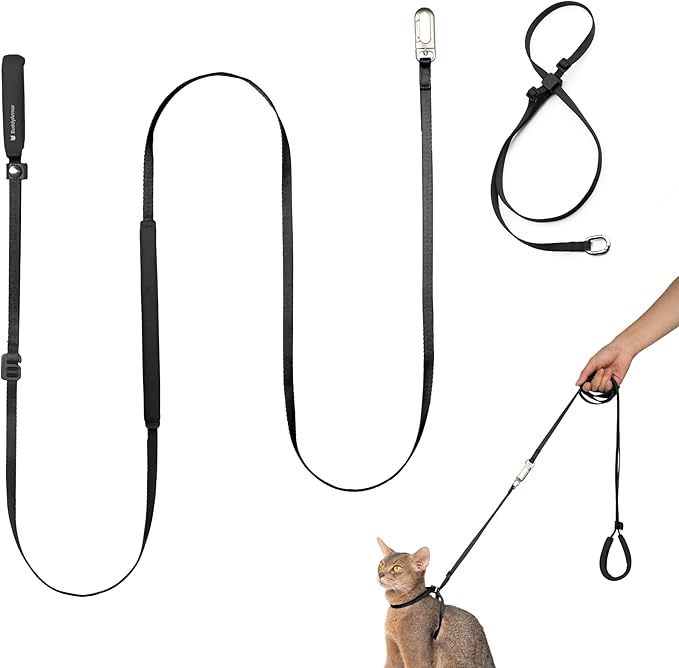 Cat Harness and Leash Set, Escape Proof Cat Harness Lightweight Leash with Padded Handle Adjustable Leash Harness for Kitten>4lbs Small Large Cats Walking Training (Midnight Black, M)
