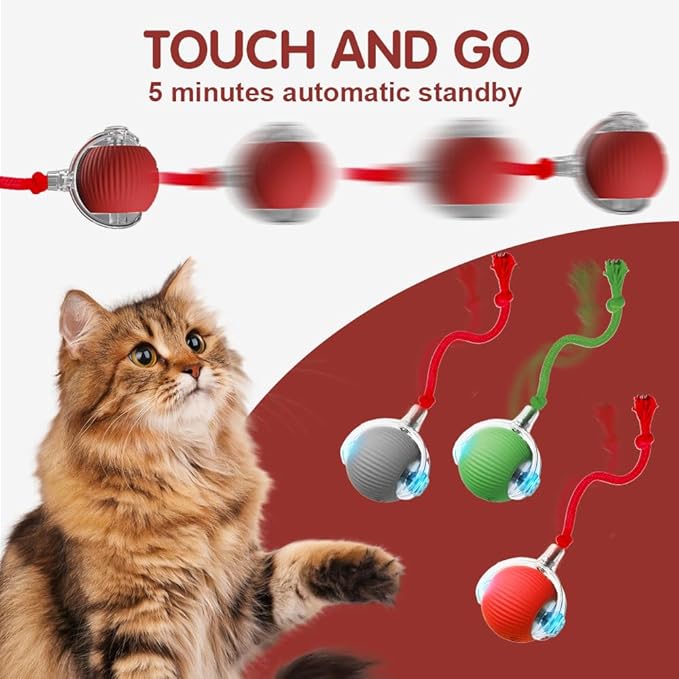 2026 New Interactive Cat Toys for Indoor Cats, Kitten Toys to Relieve Boredom for Indoor Cats (Green)