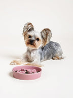 Ceramic Slow Feeder Dog Bowls Small Breed, 0.5 Cups Dog Food Dish for Fast Eaters, Puzzle Bowl for Small Dogs and Cats, 5.5 Inch-Pink