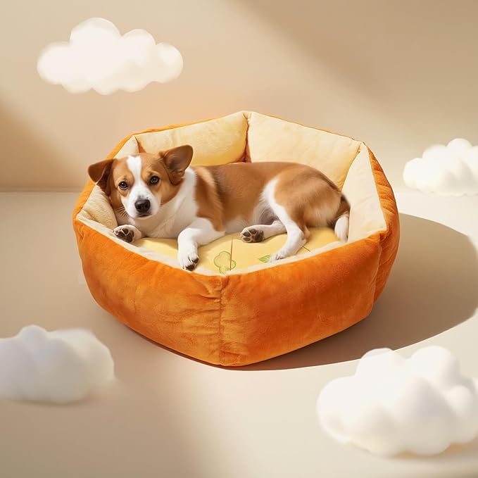Cute Cat Beds Kitten Beds, Soft Small Dog Beds, Washable Pet Beds for Puppy and Kitty, Funny Pizza Shape, 20 Inch
