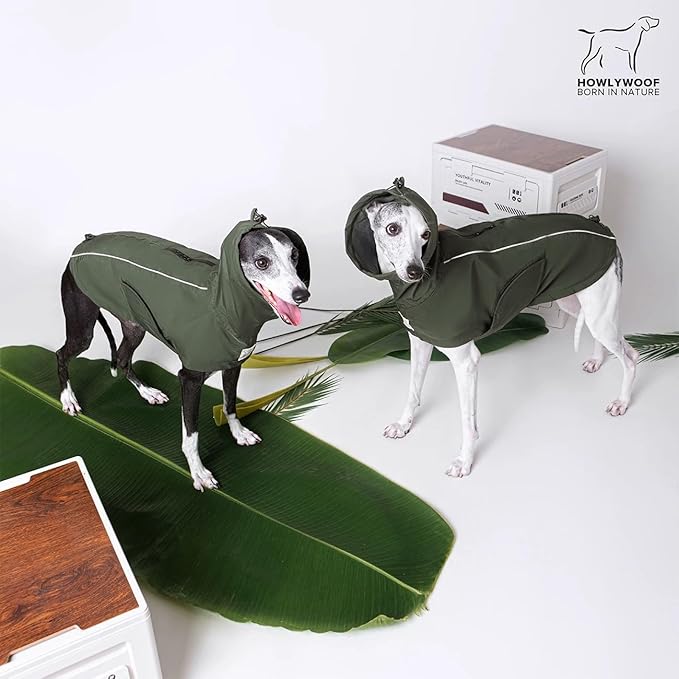 Waterproof Dog Raincoat, Hooded Raincoat for Dachshund Whippet Small Medium Large Dogs, Adjustable Dog Rain Coat Jacket (06(chest22-25'',back18-20.5''))