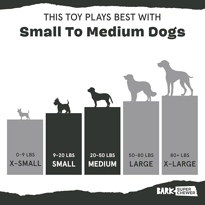 Barkbox Squash Dog Toy | Natural Rubber, Treat Dispensing, Cream Scented & Fun Wobble Design | Dog Toy for Aggressive Chewers