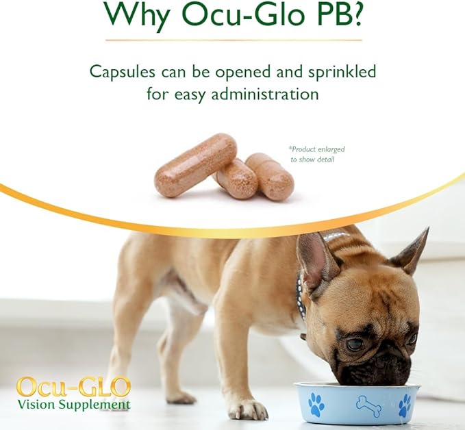 Ocu-GLO PB Vision Supplement for Small Dogs & Cats – Easy to Administer Powder Blend with Lutein, Omega-3 Fatty Acids, Grape Seed Extract and Antioxidants to Promote Eye Health, 30ct Sprinkle Capsules