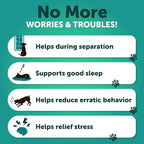 Hemp Calming Chews for Dogs - Dog Calming Chews - Dog Anxiety Relief Treats with Hemp Oil, Turmeric, Valerian, Ginger - Health and Wellness Supplements for Dogs - Hip and Joint Support - 120 Treats