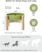 Ceramic Maze Dog Slow Feeder with Non-Slip Silicone Rim (& Bamboo Stand) – Heavy-Duty Stoneware Bowl with Puzzle Pattern for Bloating & Obesity Prevention (Raised-Green-S)