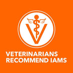 IAMS Proactive Health Adult Sensitive Digestion & Skin Dry Cat Food with Turkey, 6 lb. Bag