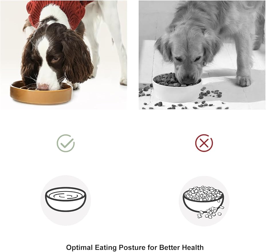 Ceramic Maze Dog Slow Feeder with Non-Slip Silicone Rim – Heavy-Duty Stoneware Bowl with Puzzle Pattern for Bloating & Obesity Prevention (Apricot-M)