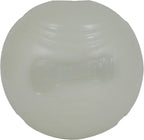 Chuckit! Glow in the Dark Bouncy Balls - Ball for Dogs, Chuckit Dog Toy, Max Glow Balls - Small, 2 Inch, Pack of 1