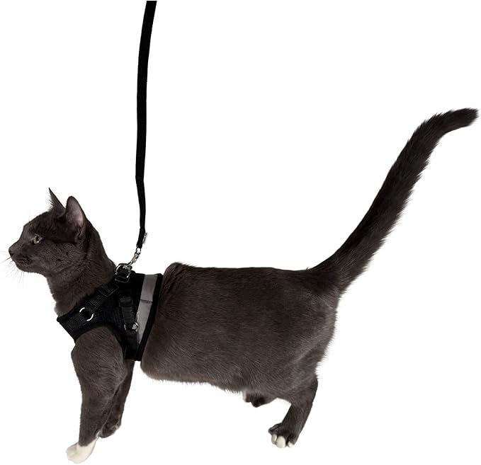 Travel Cat Harness and Leash Set - Adjustable Fit Mesh Cat Harness and Reflective Strap - Comfort Walking Vest for Kitten for Outdoor Walking, Hiking (Medium, Black)