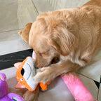 Jalousie Multipack Dog Squeaky Toys Strong Almost Indestructible, with Added Liner for Longer Play Dog Chew Toys (3 Pack - XLarge)