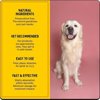 Multivitamin for Dogs & Cats | Vitamins C, K2, B, D, A, Omega, Calcium & Zinc for Growth & Development, Heart, Liver & Joint Health, Performance & Immunity (30 Oral Dissolving Strips)