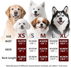 Autumn Pumpkin Dog T-Shirt Teacup Chihuahua Dog Thanksgiving Clothes for Medium Dogs Boy Girls Yorkie Puppy Clothes Breathable Collared Polo T-Shirts Doggy Pet Outfits Apparel Tops