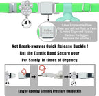 Personalized Safety Elastic Cat Collars with Bell Soft Silicone Cover for Air Tag,Laser Customized Stretch Kitten Collars for Girls Boys Cats (Light Green)