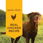 Instinct Original Wet Dog Food, Grain Free Recipe - Real Chicken, 13.2 oz. Cans (Pack of 6)