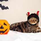 5 Pcs Halloween Cat Hat Cat Costume Pumpkin Cat Hats Bat Cosplay Hats,Kitten Puppy Dress Up Valentines Halloween Easter Costume Adjustable Accessory Headwear(Wacky Style)