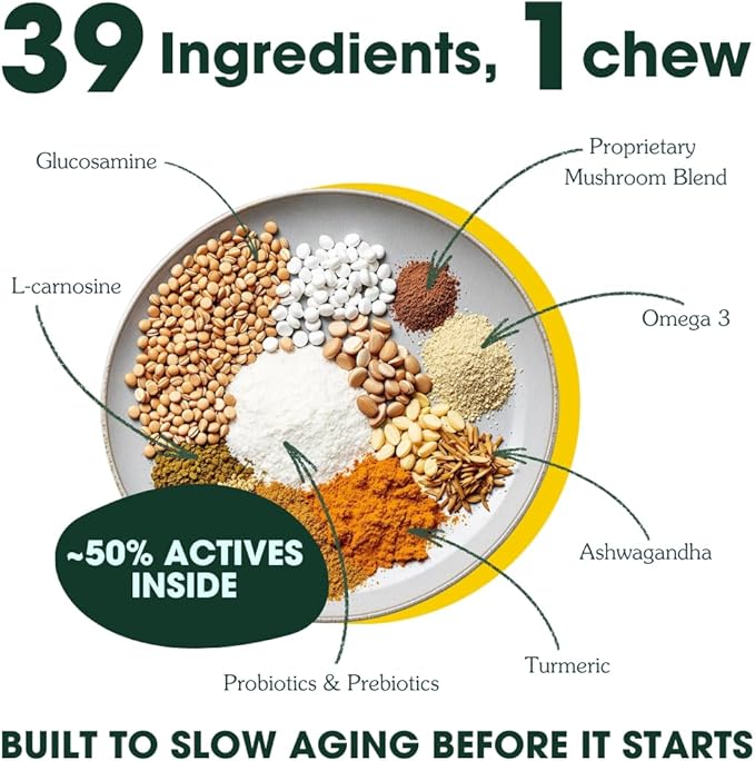 Arterra Longevity Multivitamin for Dogs – 50% Active Ingredients – Vet-Formulated Daily Soft Chews for Gut, Brain, Joint & Immune Health – Human-Grade Supplement | 60 Count